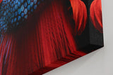 Sinus Art Wandbild 120x80cm Makroaufnahme eines Kampffischs mit leuchtend roter Flosse und glänzenden Schuppen