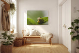 Sinus Art Wandbild 120x80cm Faszinierendes Motiv aus der Tierwelt mit verspieltem Charakter