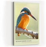 Paul Sinus Kunstdruck 40x60cm Eisvogel auf Ast im Licht – Ruhe, Farbe und Konzentration in einem Moment eingefangen