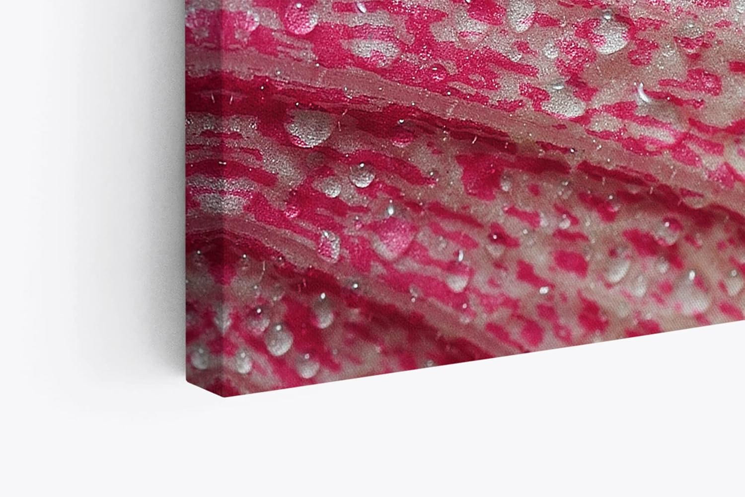 Paul Sinus Wandbild 120x80cm Blume Blüte Rosa Makroaufnahme Wassertropfen Kunstvoll