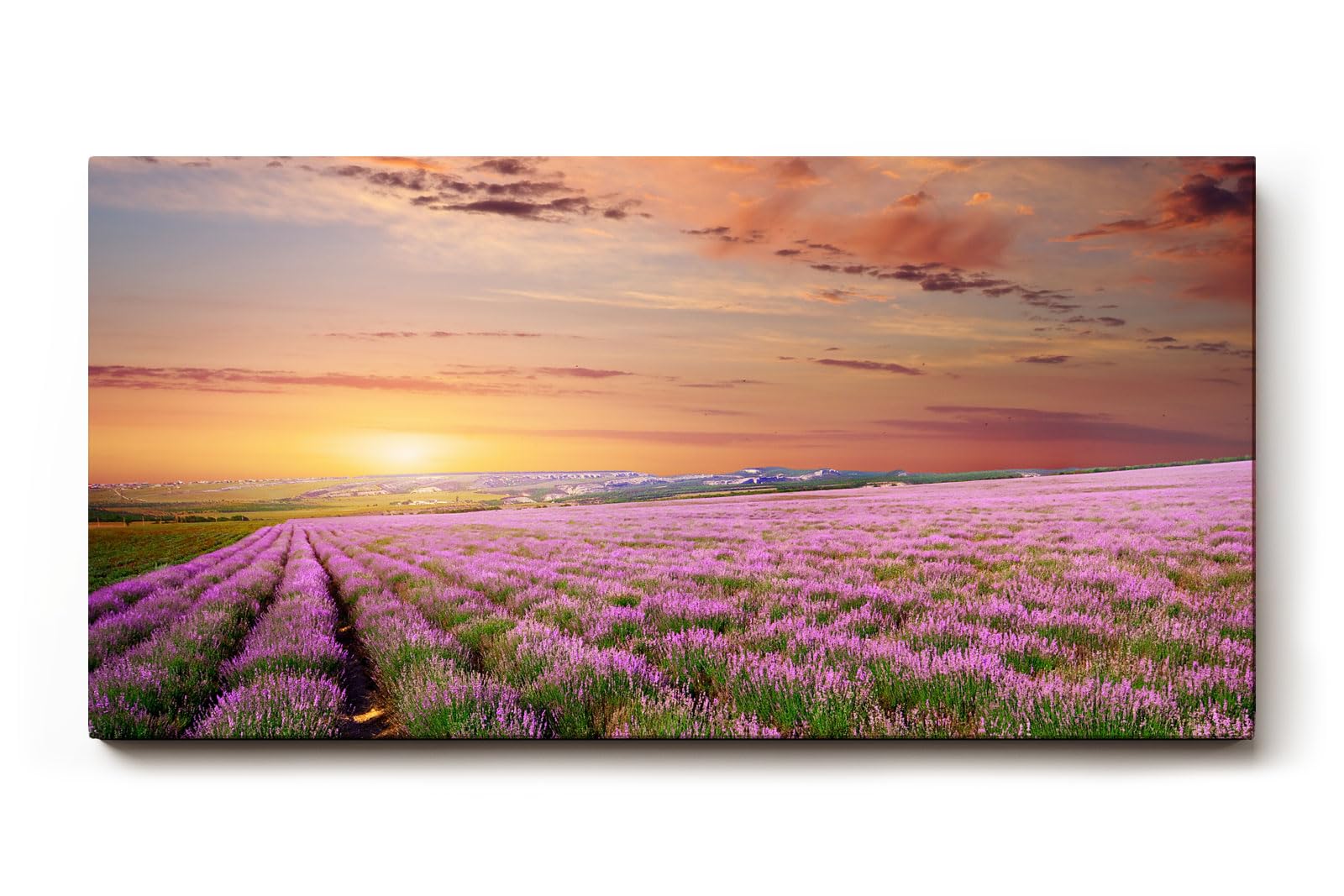Sinus Art Wandbild 120x80cm Unendliches Lavendelfeld im warmen Licht des Sonnenuntergangs – beruhigend und harmonisch