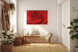 Sinus Art Wandbild 120x80cm Die samtige Struktur der roten Blütenblätter verleiht Tiefe und sinnliche Wirkung