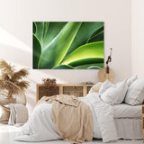 Paul Sinus Wandbild 120x80cm Pflanze Grün Nahaufnahme Fotokunst Natur Dekorativ