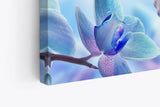Paul Sinus Wandbild 120x80cm Blaue Orchidee Blüten Blume Kunstvoll Fotokunst