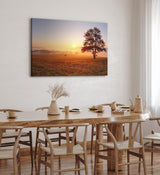 Paul Sinus Wandbild 120x80cm Baum Morgentau Sonnenaufgang Feld Natur Nebel