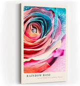 Paul Sinus Kunstdruck 40x60cm Rainbow Rose – Farbenpracht und Struktur in perfekter Harmonie