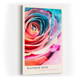Paul Sinus Kunstdruck 40x60cm Rainbow Rose – Farbenpracht und Struktur in perfekter Harmonie