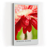 Paul Sinus Kunstdruck 40x60cm Morning Bloom – rote Blüte mit Tautropfen im Morgenlicht in Nahaufnahme