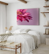 Paul Sinus Wandbild 120x80cm Barberton Blume Blüte Rosa Nahaufnahme Kunstvoll