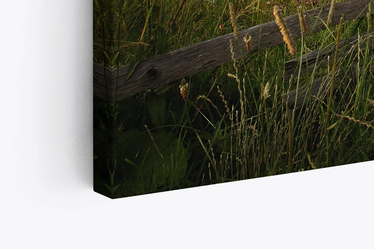 Paul Sinus Wandbild 120x80cm Landschaft Holzzaun Schwalben Sonnenuntergang Natur