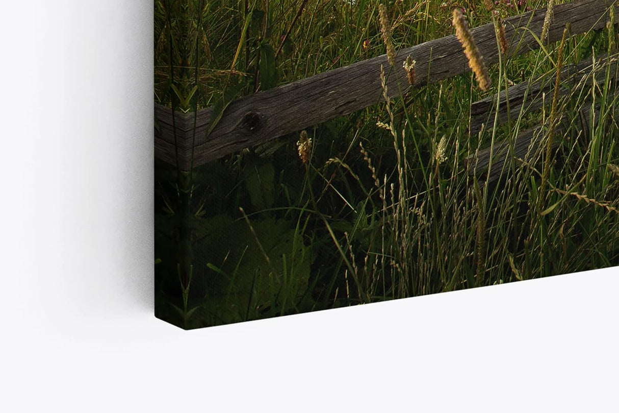 Paul Sinus Wandbild 120x80cm Landschaft Holzzaun Schwalben Sonnenuntergang Natur