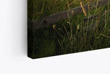 Paul Sinus Wandbild 120x80cm Landschaft Holzzaun Schwalben Sonnenuntergang Natur