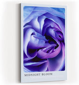 Paul Sinus Kunstdruck 40x60cm Blume Makro Blau Lila Rose Dunkelheit Lichtspiel Midnight Bloom