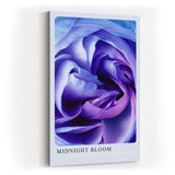 Paul Sinus Kunstdruck 40x60cm Blume Makro Blau Lila Rose Dunkelheit Lichtspiel Midnight Bloom