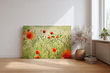 Sinus Art Wandbild 120x80cm Rote Mohnblumen im weichen Gegenlicht – luftig, lebendig und romantisch