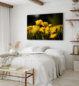 Paul Sinus Wandbild 120x80cm Gelbe Tulpen Blumen Blüten Fotokunst Sommer