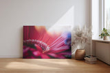 Sinus Art Wandbild 120x80cm Künstlerische Darstellung einer roten Blüte mit Lichtakzenten und unscharfen Strukturen