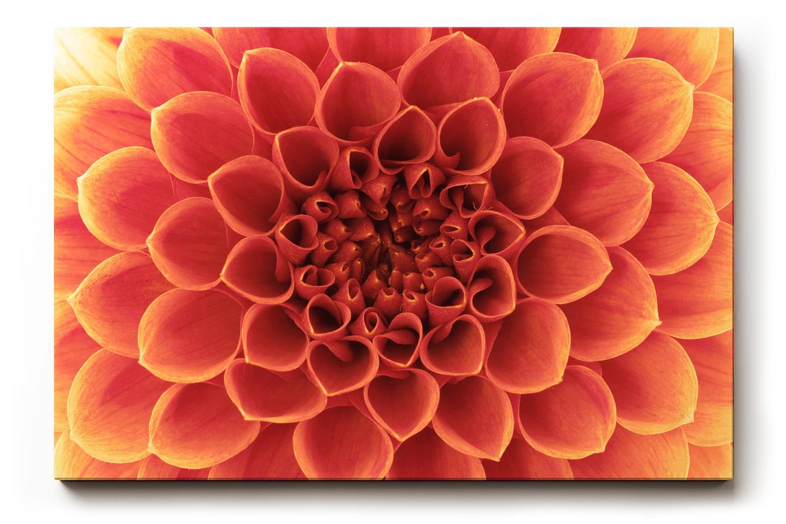 Sinus Art Wandbild 120x80cm Faszinierende Blütenstruktur in perfekter Symmetrie als Symbol für Schönheit und Harmonie