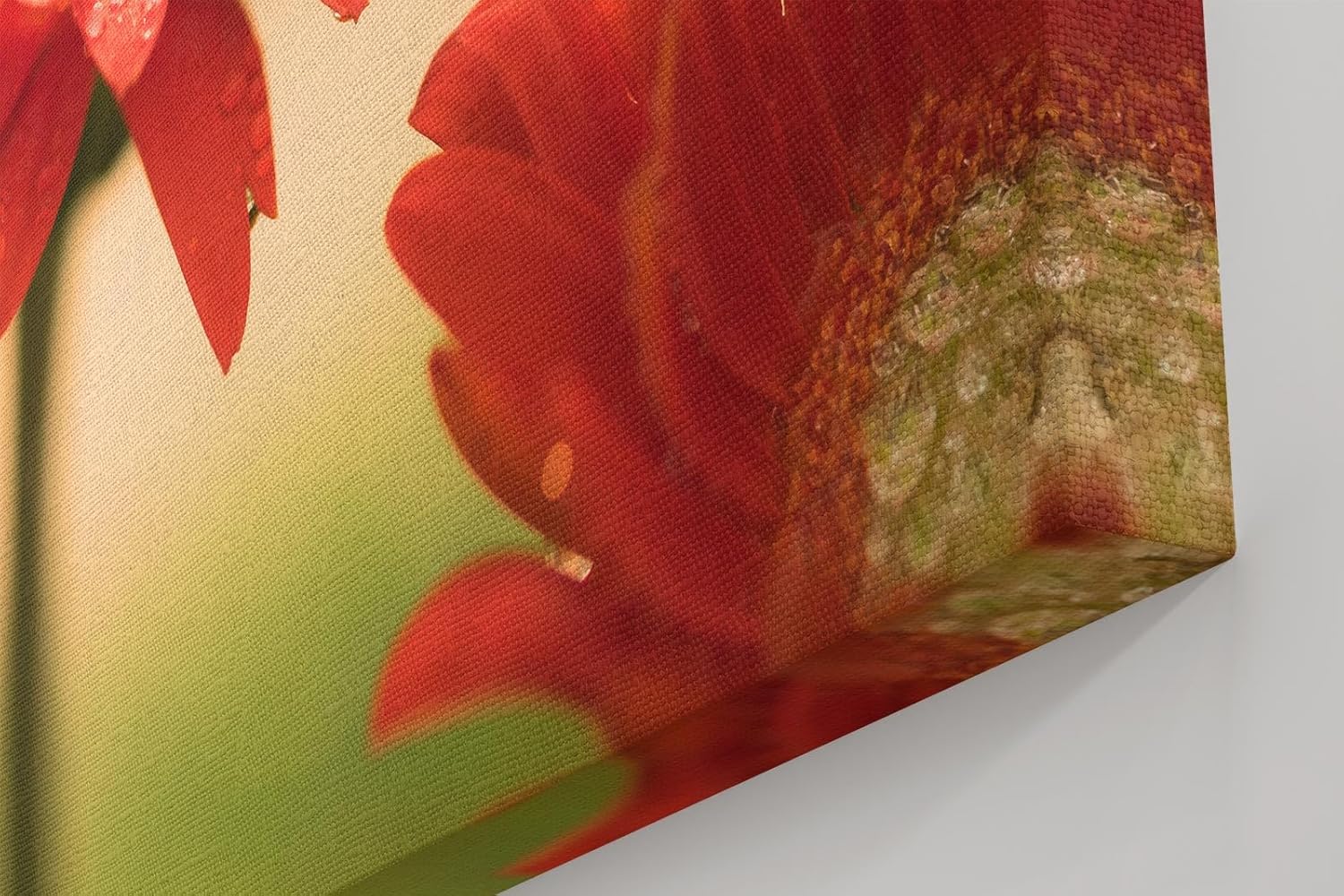 Sinus Art Wandbild 120x80cm Emotionale Nahaufnahme einer roten Gerbera mit schimmernden Tautropfen auf den Blütenblättern