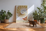 Paul Sinus Kunstdruck 40x60cm Divine Geometry – Nautilus-Muschel in harmonischer Spirale