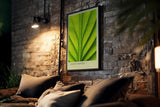 Paul Sinus Kunstdruck 40x60cm Green Design mit Makroaufnahme eines grünen Blattes