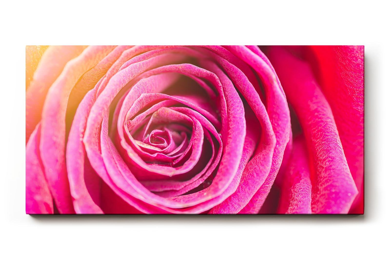Sinus Art Wandbild 120x80cm Nahaufnahme einer geöffneten Rose mit weichen Übergängen und natürlicher Symmetrie