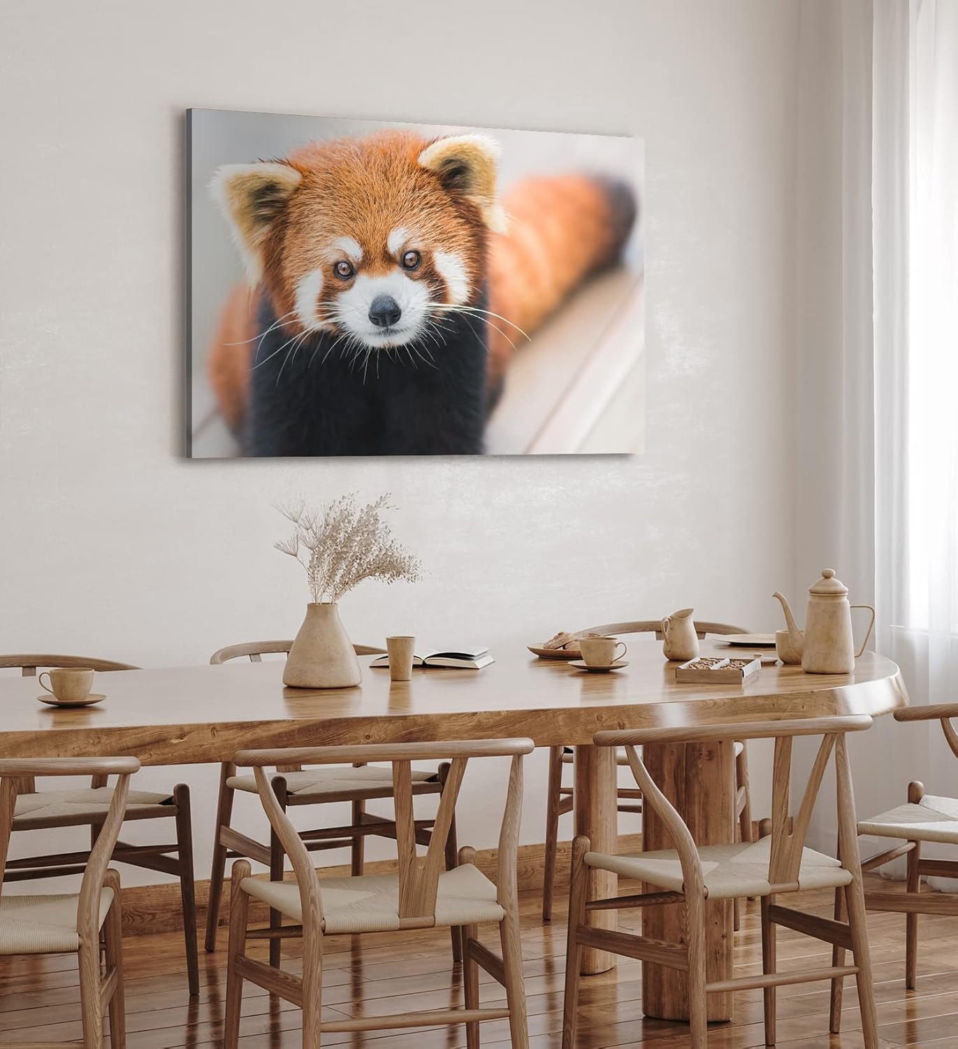 Paul Sinus Wandbild 120x80cm Kleiner roter Panda Tierfotografie Süß Flauschig