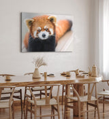 Paul Sinus Wandbild 120x80cm Kleiner roter Panda Tierfotografie Süß Flauschig