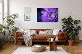 Sinus Art Wandbild 120x80cm Violettblaue Blüte mit hellem Zentrum – elegant, beruhigend und farbstark