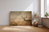Sinus Art Wandbild 120x80cm Der majestätische Hirsch im Nebel erzeugt eine ruhige kraftvolle Stimmung im Raum