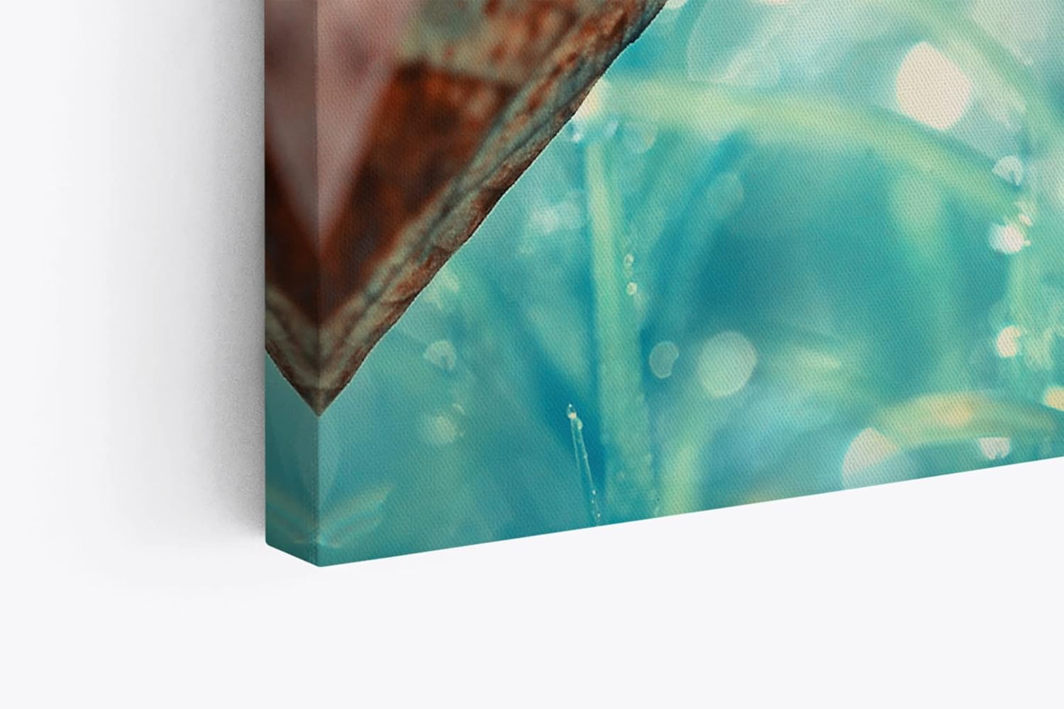 Paul Sinus Wandbild 120x80cm Babyschlange Schlange Blüte Tierfotografie Kunstvoll