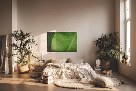 Sinus Art Wandbild 120x80cm Frisches grünes Blatt mit Wassertropfen – Symbol für Reinheit und Natur