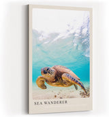 Paul Sinus Kunstdruck 40x60cm Sea Wanderer mit Meeresschildkröte unter Wasser in Türkis