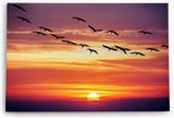 Paul Sinus Wandbild 120x80cm Sonnenuntergang Abendröte roter Himmel Gänse Wolken