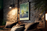 Paul Sinus Kunstdruck 40x60cm Spring Whirl Narzisse Blüte Frühling Gelb Makro Naturpastell