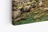 Paul Sinus Wandbild 120x80cm Berge Berglandschaft Bach Natur Bäume