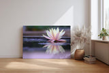 Sinus Art Wandbild 120x80cm Zartrosa Seerose auf dunklem Wasser mit Reflexion – ruhig, edel und harmonisch