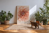 Paul Sinus Kunstdruck 40x60cm Dahlia Bloom Blume Makro Rosa Struktur Natur Pflanze Detail