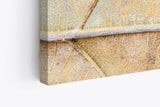 Paul Sinus Wandbild 120x80cm Herbstblatt Nahaufnahme Makrofotografie Herbst Blattadern