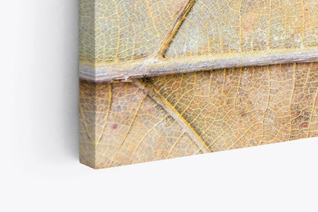 Paul Sinus Wandbild 120x80cm Herbstblatt Nahaufnahme Makrofotografie Herbst Blattadern