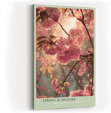 Paul Sinus Wandbild in 40x60cm Spring Blossoms – romantische Kirschblüten im sanften Frühlingslicht in zarter Farbgestaltung