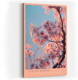 Paul Sinus Wandbild in 40x60cm Sakura Moment – zarte Kirschblüten im warmen Licht vor sanftem Himmel