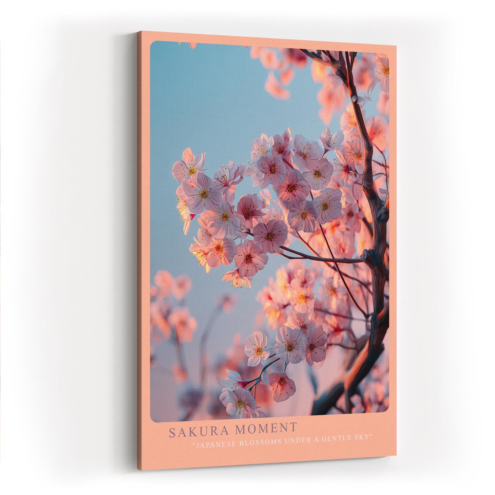 Paul Sinus Wandbild in 40x60cm Sakura Moment – zarte Kirschblüten im warmen Licht vor sanftem Himmel