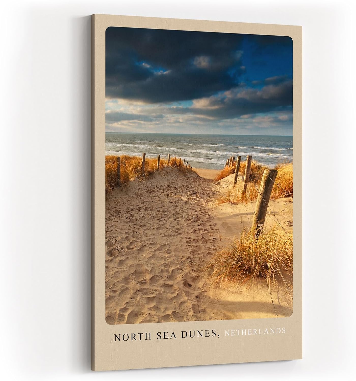 Paul Sinus Kunstdruck 40x60cm North Sea Dunes mit Dünenweg zur See in den Niederlanden