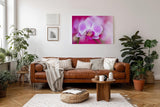 Sinus Art Wandbild 120x80cm Die Tropfen auf den Blütenblättern verleihen dem Motiv eine frische und natürliche Eleganz