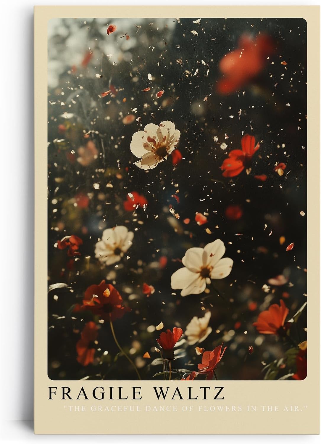 Paul Sinus Leinwandbild 60x90cm Fragile Waltz Leinwandbild tanzende Blütenblätter in der Luft poetische Naturkunst mit magischer Atmosphäre