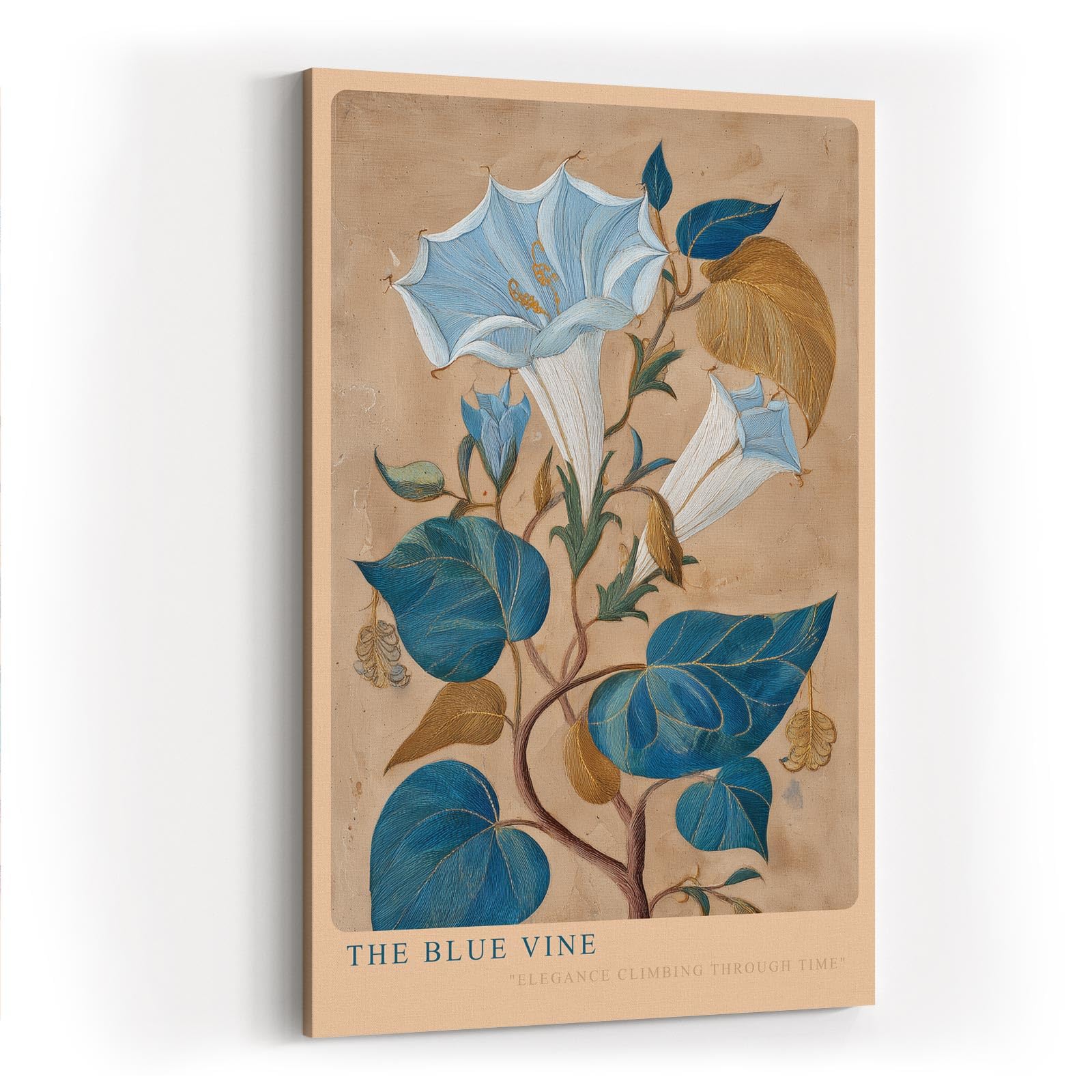 Paul Sinus Wandbild in 40x60cm The Blue Vine Botanische Illustration einer blauen Kletterpflanze mit feinen Blüten und Blättern