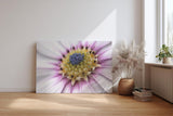 Sinus Art Wandbild 120x80cm Nahaufnahme mit faszinierendem Aufbau und intensiver Farbabstufung