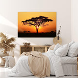 Paul Sinus Wandbild 120x80cm Afrikanische Landschaft Burkea Africana Bäume Sonnenuntergang