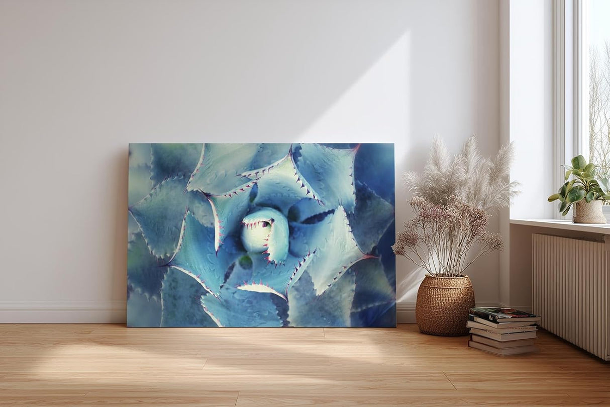 Sinus Art Wandbild 120x80cm Die symmetrische Form der Agavenblätter wirkt strukturiert, ästhetisch und beruhigend